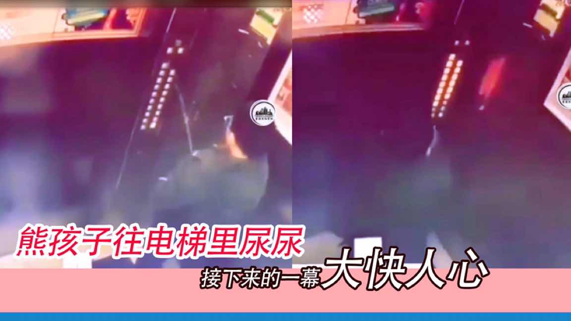 熊孩子往電梯裡尿尿，接下來的一幕簡直是大快人心！